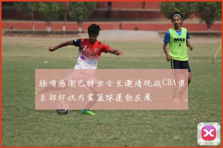 杨鸣感谢巴特尔会长邀请观战CBA俱乐部杯祝内蒙篮球蓬勃发展