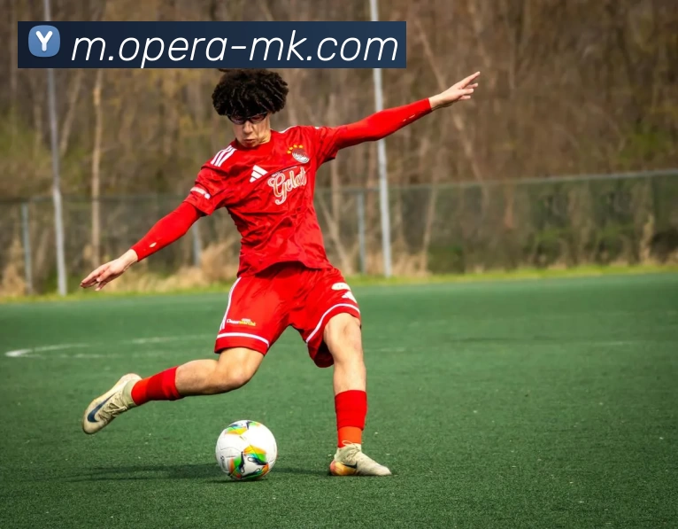 MK体育APP 高清赛事图